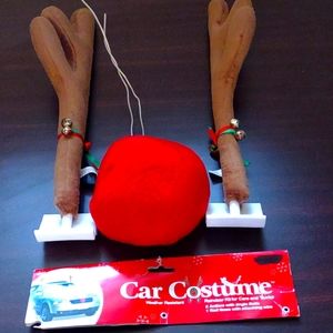 Rudolph the Red Nose Reindeer Car Truck Costume Christmas Decoration